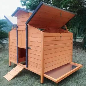 Gallinero Real