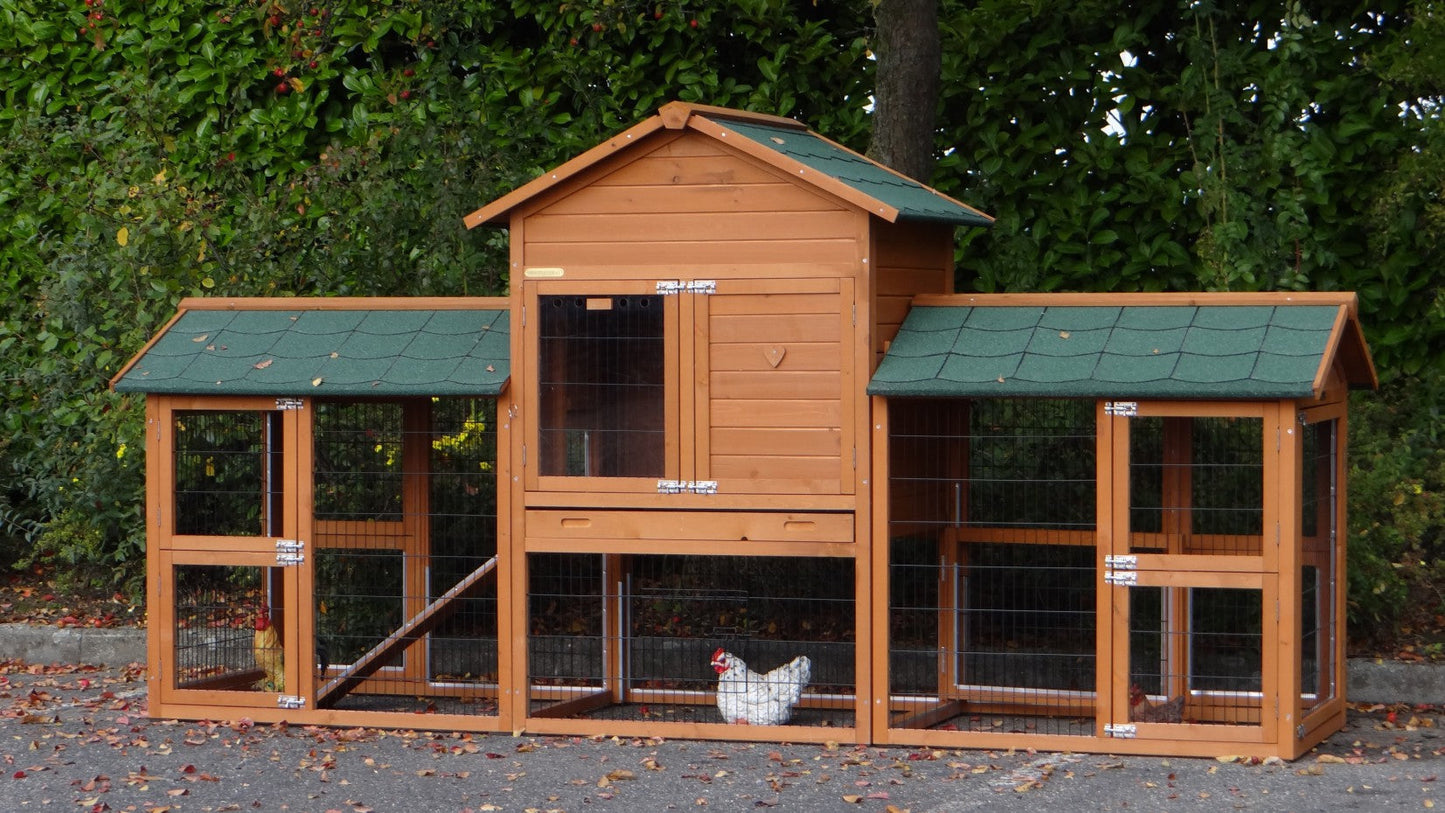 Gallinero Confort