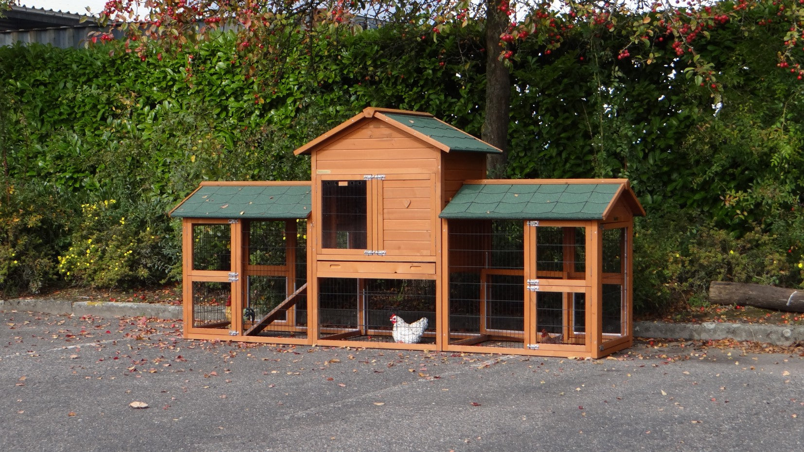 Gallinero Confort
